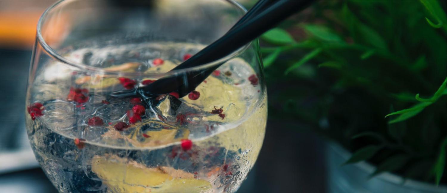 Las mejores GINEBRAS CLÁSICAS O DE ENEBRO